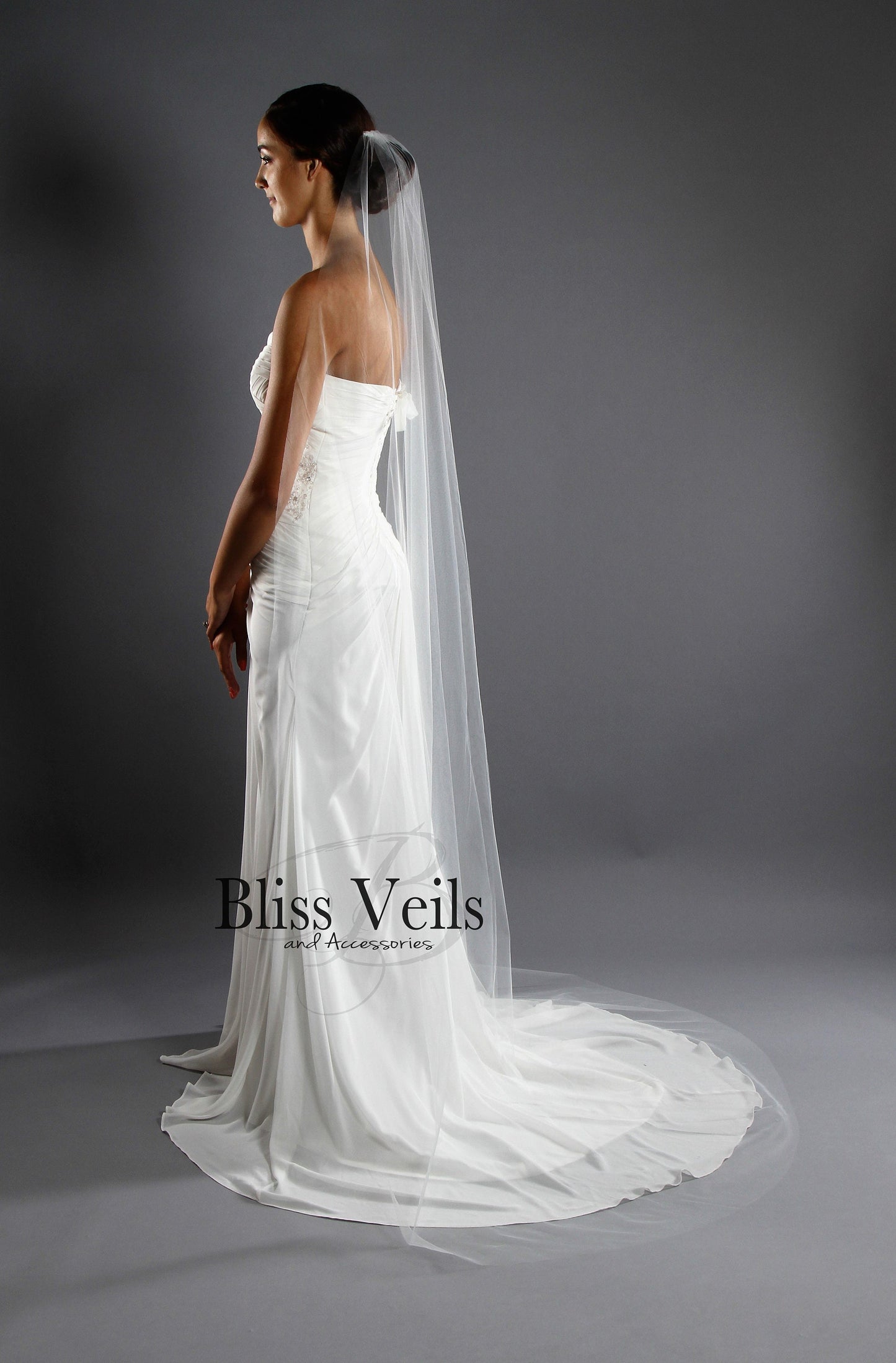 Sheer Cut Edge One Tier Wedding Veil