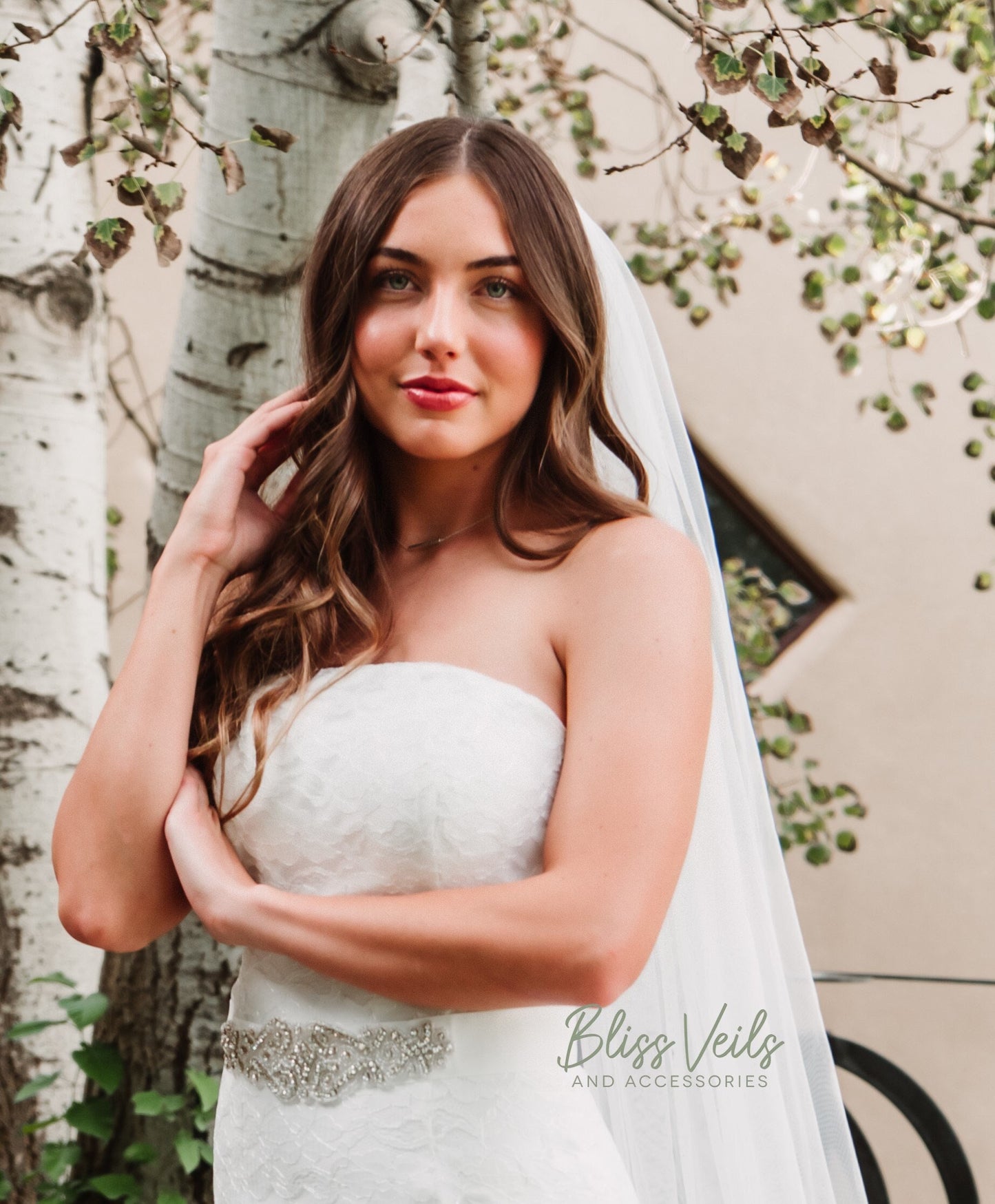 Crystal Beaded One Tier Wedding Veil