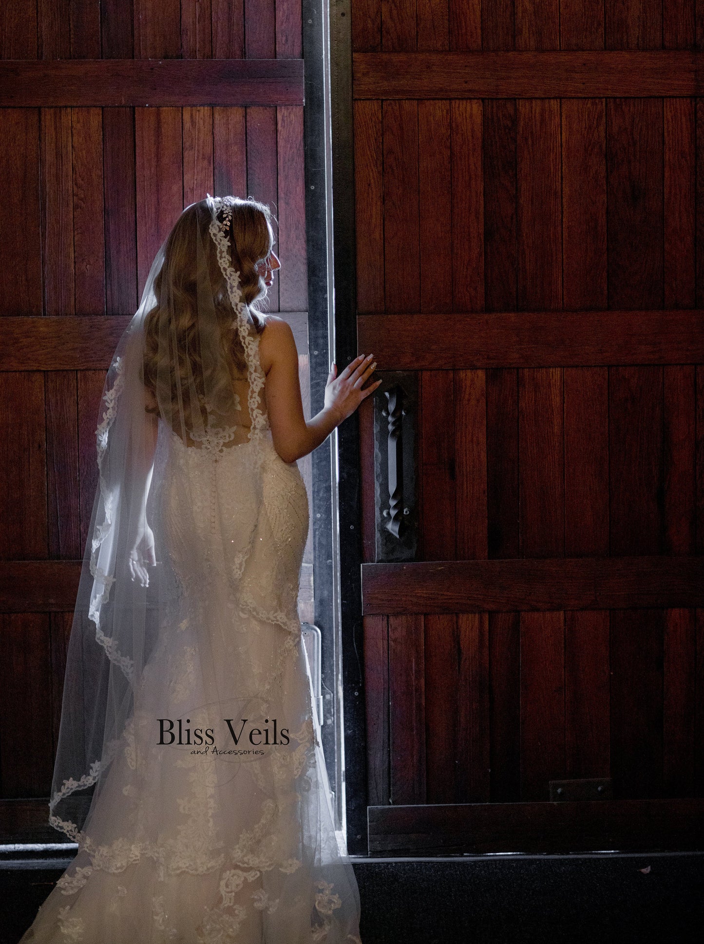 Cathedral Lace Mantilla Wedding Veil