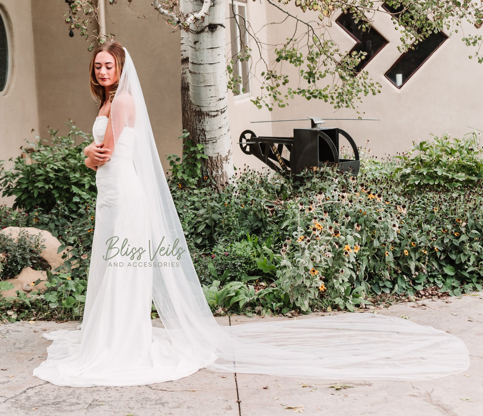 Cathedral Wedding Veil: Beaded Pearls & Crystals, Soft Tulle