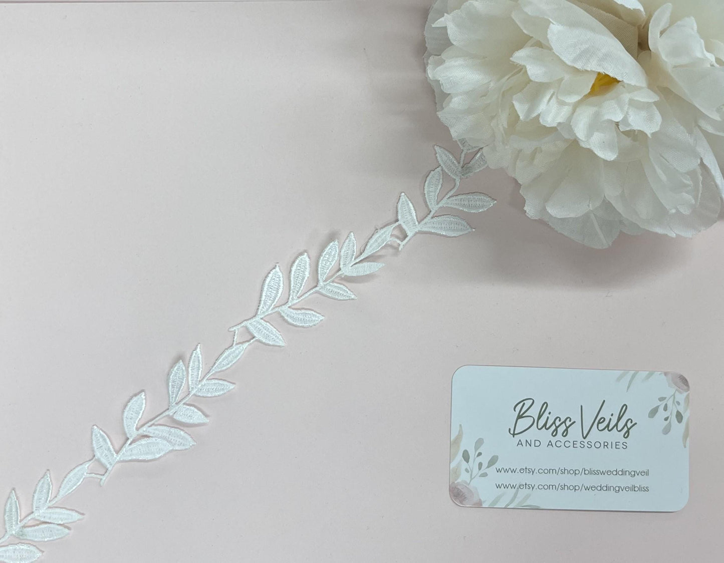 Delicate Lace First Communion Veil: Soft Tulle, One Tier